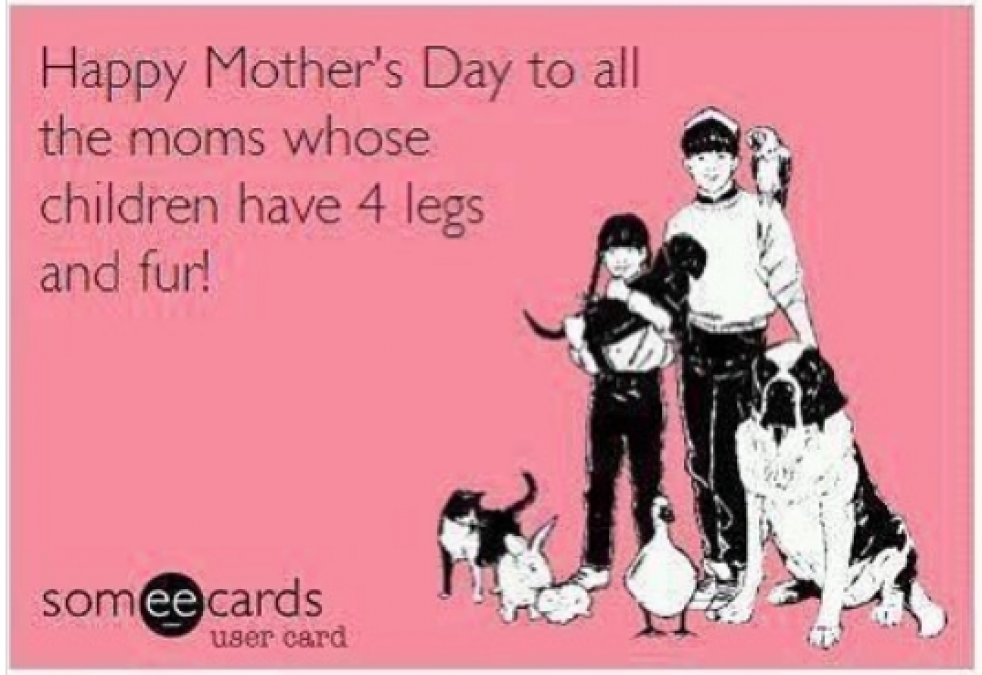 Mother's Day 2019: Funny Memes, Jokes that make you ROFL | NewsTrack  English 1