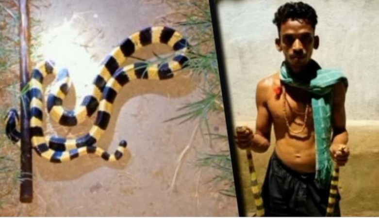 Odisha YouTuber arrested for keeping snakes, chameleons
