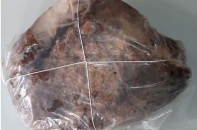 STF arrests 4 persons in UP with ambergris worth Rs 10 cr