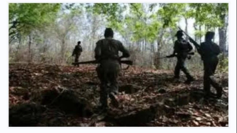 14 Naxals Killed in Clash with Police at Chhattisgarh-Odisha Border