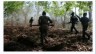 14 Naxals Killed in Clash with Police at Chhattisgarh-Odisha Border