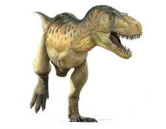 Scientists say new species of Tyrannosaur were sensitive