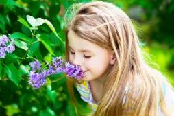 Do You Know Why Flowers Smell?
