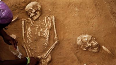 Bones discovered at Santa Maria hints early human cannibalism