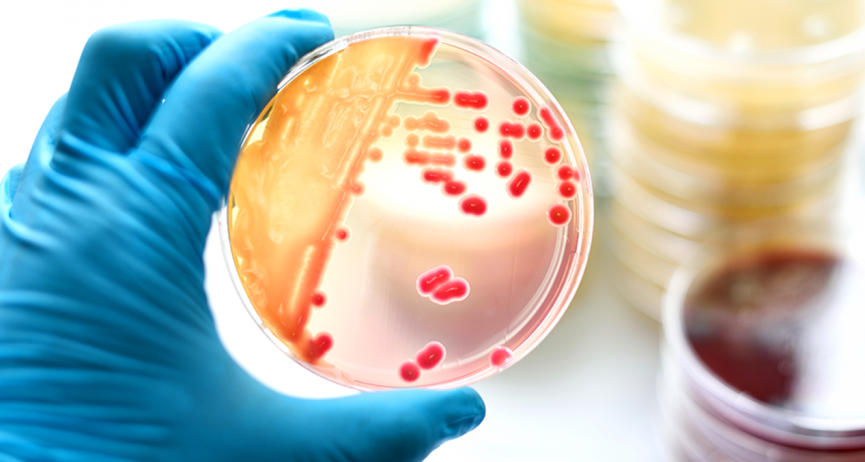 Amazing Facts: Thing you probably didn’t know about Bacteria