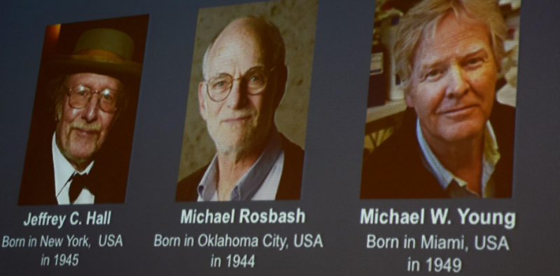 Meet Nobel Prize winners 2017: Jeffery C Hall, Michael Roshbash, and Michael W.Young