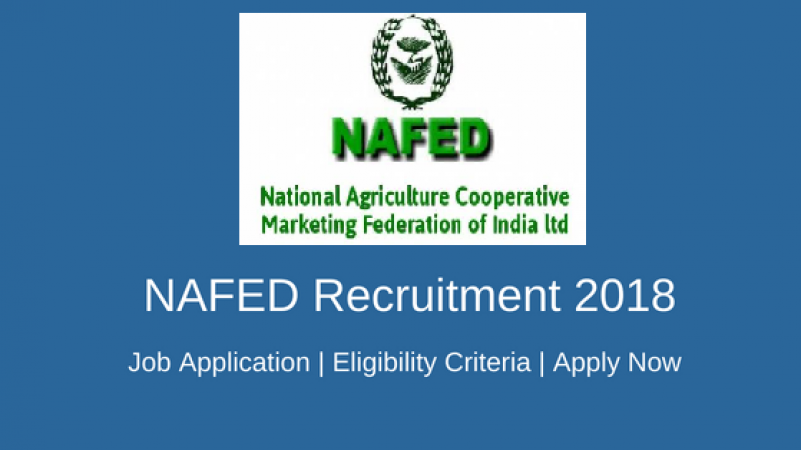 NAFED RECRUITMENT 2018: Limited Vacancy for Managers, Hurry!