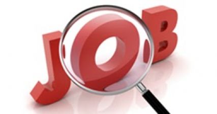Stenographer job vacancy in INDIAN CULTURAL RELATIONS COUNCIL