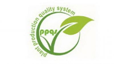 Job recruitment in plant production quality system