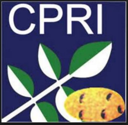 Hurry Up! Multi-tasking Staff openings in CPRI