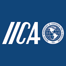 Chief administrative and finance officer vacancy in IICA