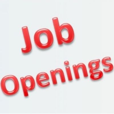 Job vacancy in  LADAKH AUTONOMOUS HILL DEVELOPMENT COUNCIL