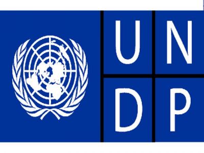 Job vacancy in United Nations Development Program