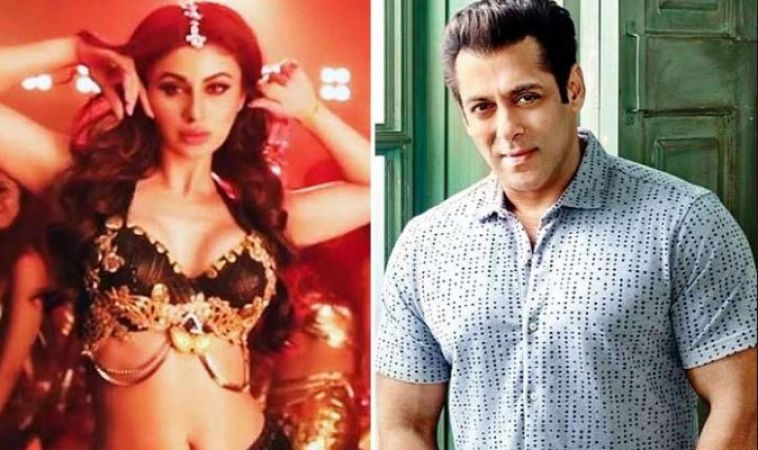 Dabangg 3 : सलमान खान की फिल्म में आइटम नंबर नहीं करेंगी मौनी रॉय