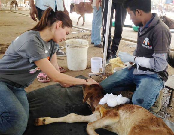 गाय माता संग नजर आई बॉलीवुड की बाला