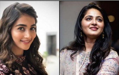 Vicky Kaushal to pair up with this South actress after Rashmika