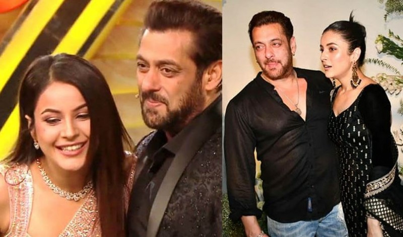 Salman Khan wants to get into a relationship with Shahnaz? self told truth