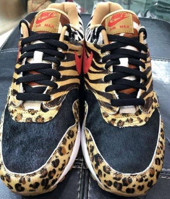 The cost of Ranbir Kapoor's Animal Print shoe might Surprise you!