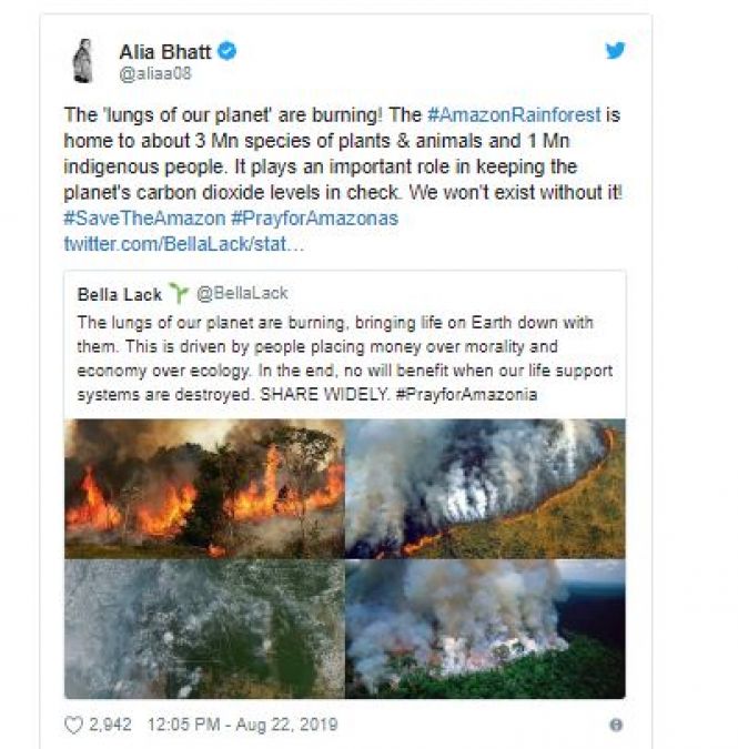 Massive fire gets caught in Amazon forests, see what Bollywood stars say!
