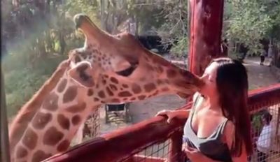This actress had a liplock with giraffe, see Liplock VIDEO!