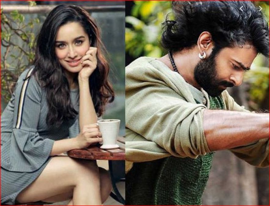 After Shraddha, now Prabhas wants to work with all the ex-girlfriends of Ranbir Kapoor!