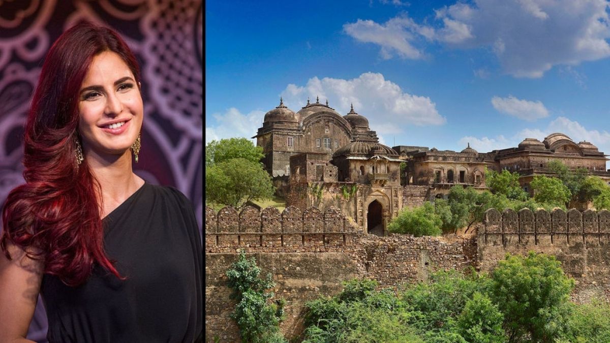 Groom King Vicky Kaushal to stay in 'Raja Mansingh Suite', find out what's special about it?