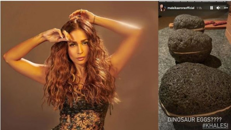 This famous actress was stunned to see dinosaur eggs, asked questions to fans