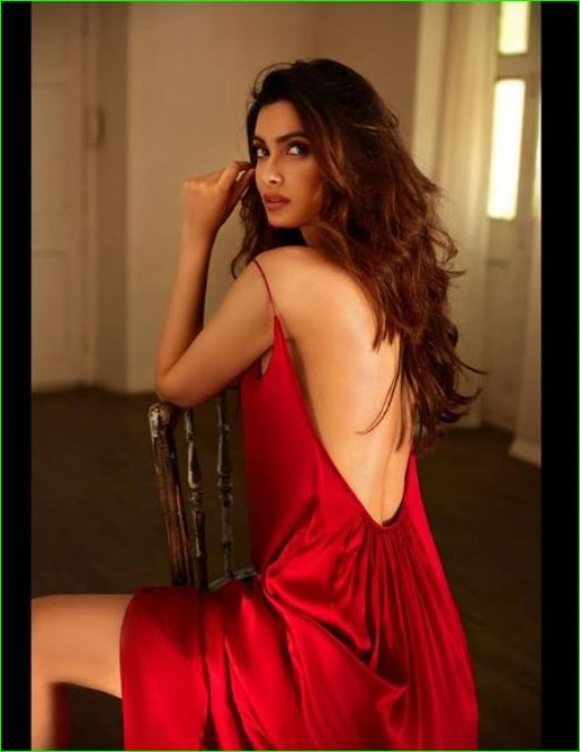 Diana Penty's backless photo raises temperature, check it out here |  NewsTrack English 1