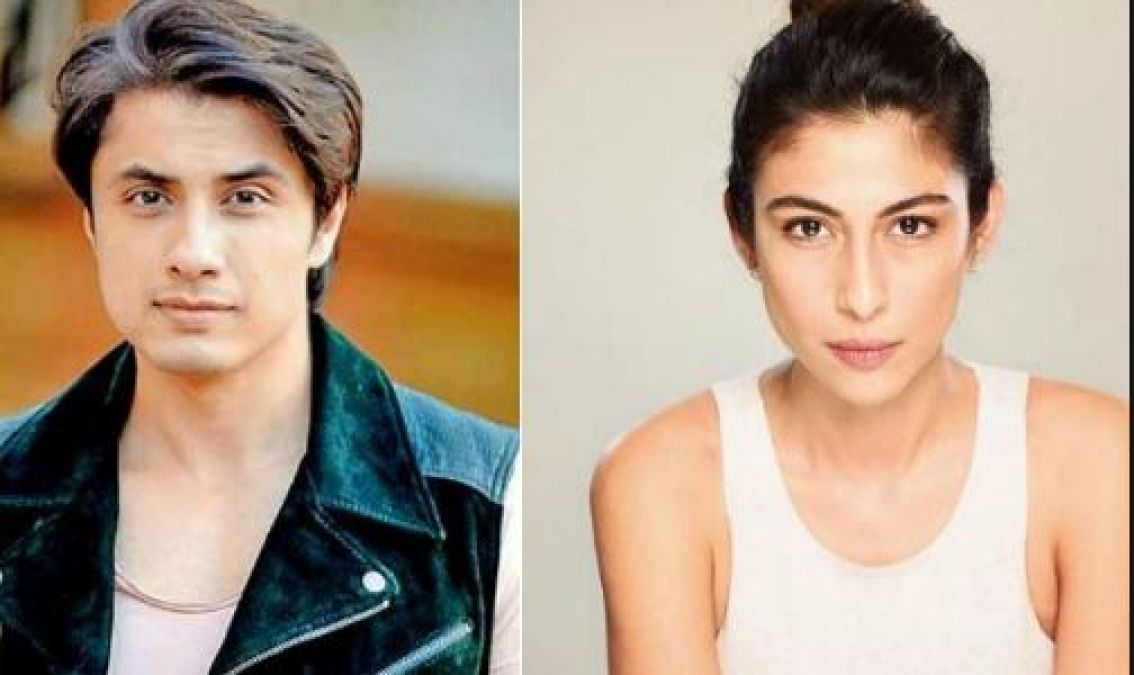 Meesha Shafi accuses Pakistani actor, 'When my husband was out...