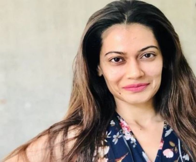 Bigg Boss 13: This ex-contestant came in support of Payal Rohatgi, launches attack on Congress