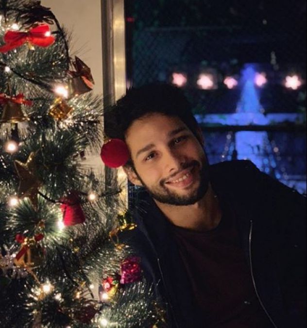 Gully Boy fame Siddhant Chaturvedi get film offer with this actress