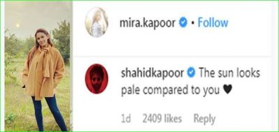 Shahid Kapoor comment on Mira Rajput's photo, Check out here
