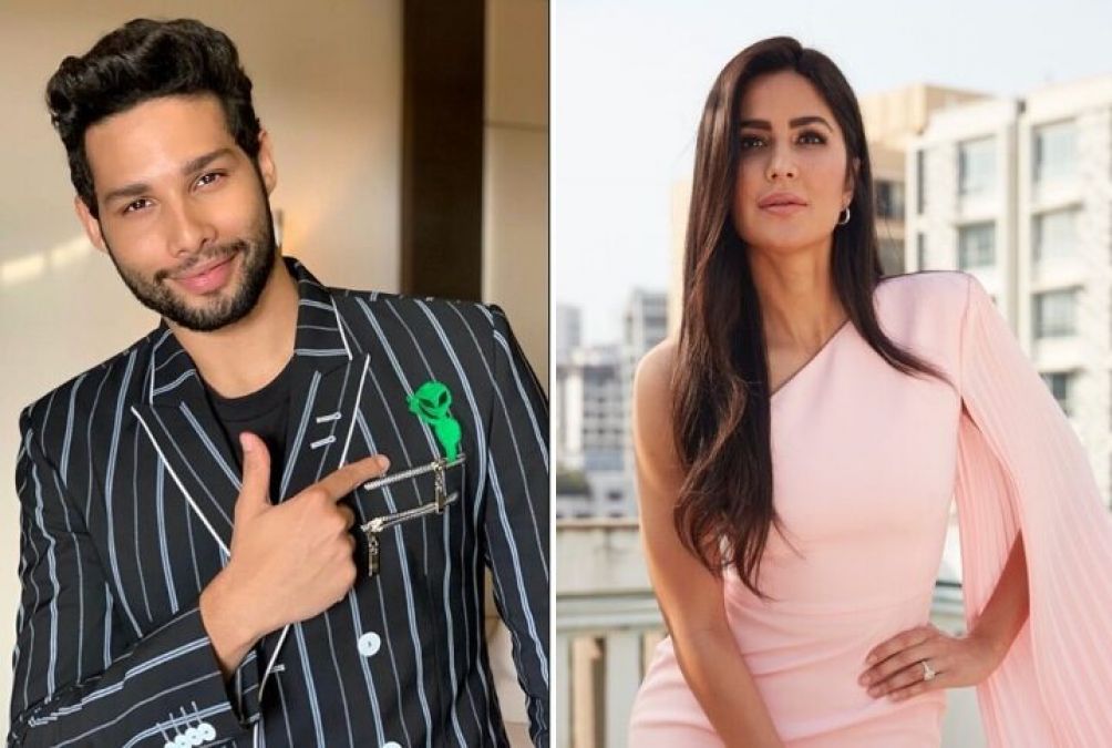 Siddhant Chaturvedi will be seen in a horror comedy film with this actress