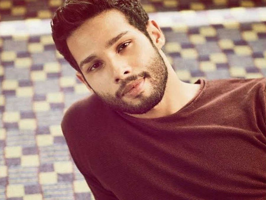 Siddhant Chaturvedi will be seen in a horror comedy film with this actress