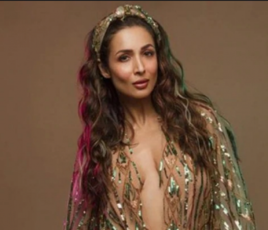 Malaika Arora gets trolled due to her bold style, photo went viral on social media
