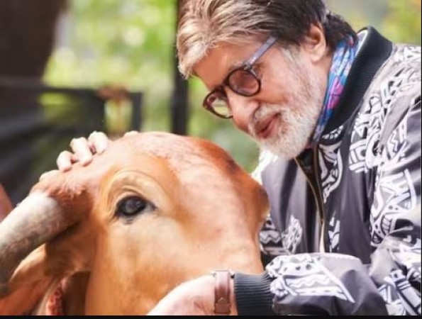 Amitabh blindly trusts this person, does not sign any film without asking