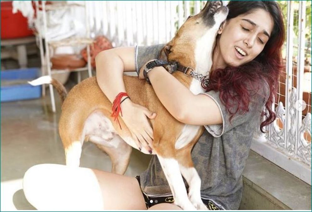 Aamir Khan's daughter Ira loves animals, shares pictures