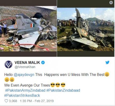 इस पाकिस्तानी एक्ट्रेस ने उड़ाया पायलट अभिनंदन का मजाक, बुरी तरह भड़की स्वरा भास्कर