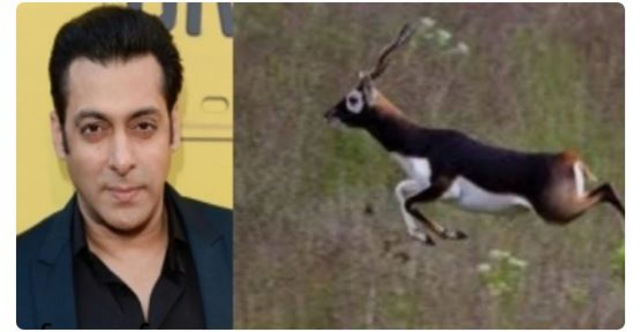 Salman Khan's hunting deer to have a grand memorial