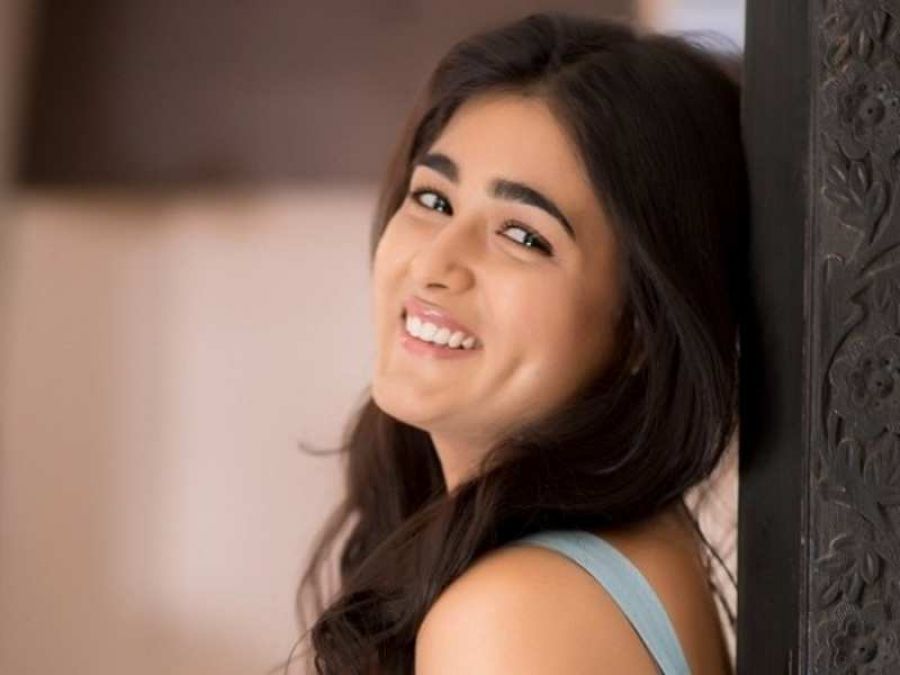 Actress Shalini Pandey will make her Bollywood debut with this film