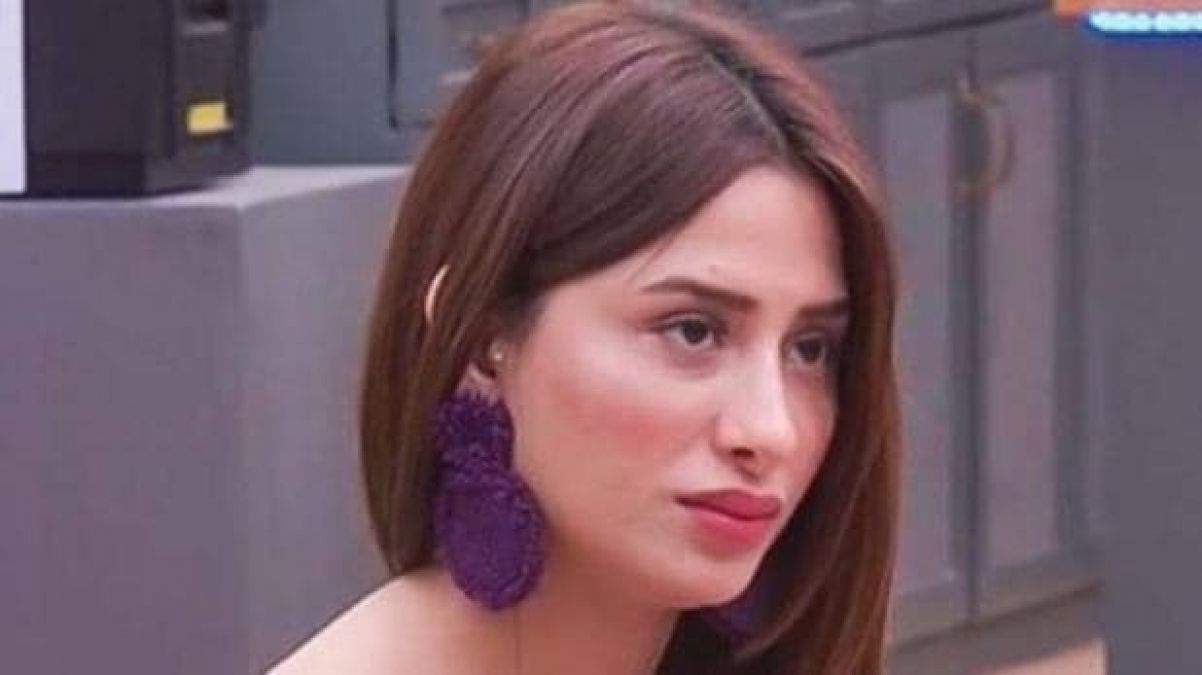 Bigg Boss13: Fan spotted mobile phone behind Mahira, Know complete story