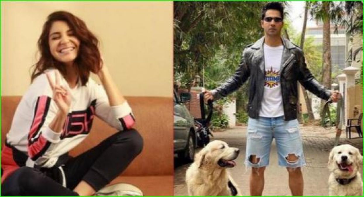 Anushka had fun seeing Varun's ripped jeans, said- 'Dogs bitten...'