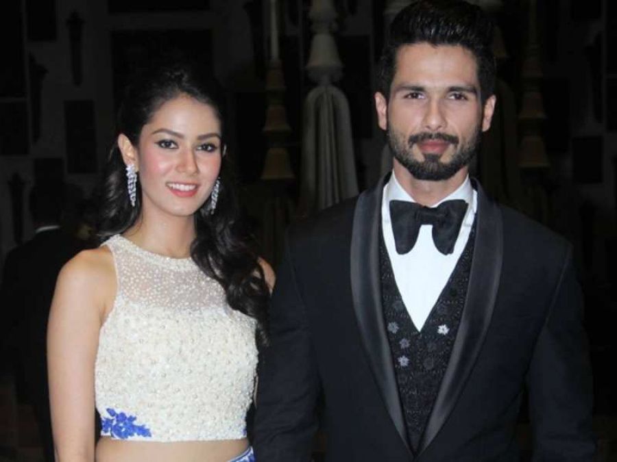 Meera Rajput shared a beautiful picture, Here's how Shahid Kapoor react