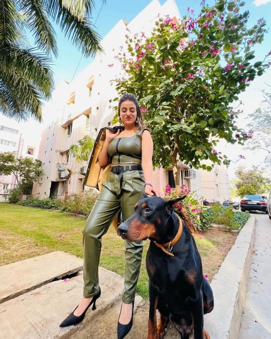 Akshara Singh looking beautyful in olive green crop top and matching pants