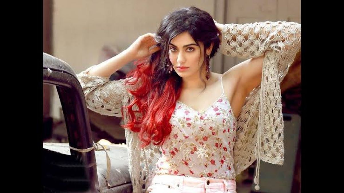 Adah Sharma seen talking to monkeys in Rishikesh, video goes viral