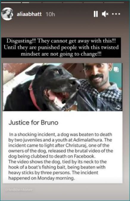 #JusticeforBruno: अनुष्का से लेकर आलिया तक ने माँगा कुत्ते के लिए न्याय, जानिए पूरा मामला?