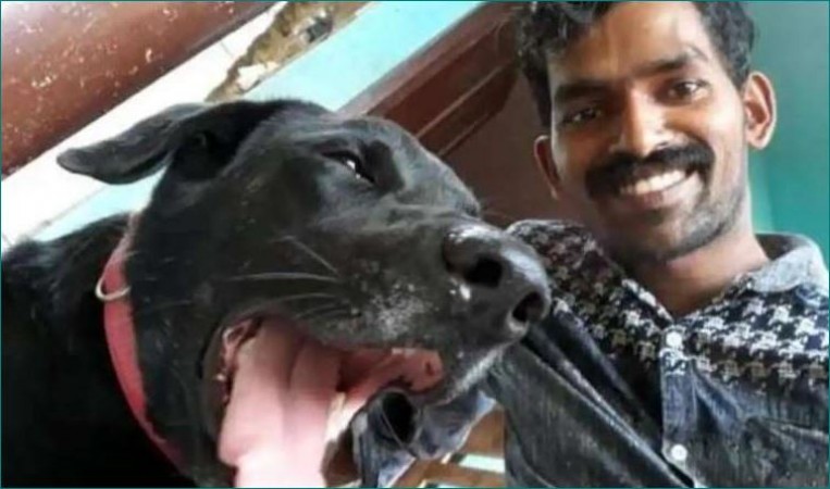 #JusticeforBruno: अनुष्का से लेकर आलिया तक ने माँगा कुत्ते के लिए न्याय, जानिए पूरा मामला?