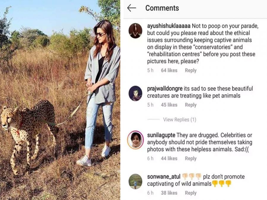 Kriti did something like this that her fans started trolling her!