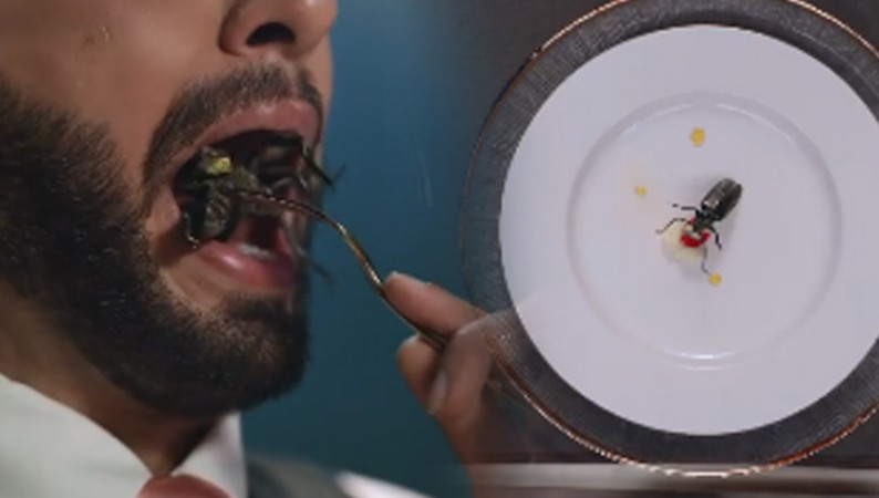 Video: These actors were forced to eat insects, know what's the matter?