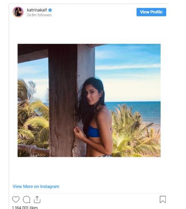 Katrina looked extremely sexy on the beach of Mexico; Arjun's comment is a must read!